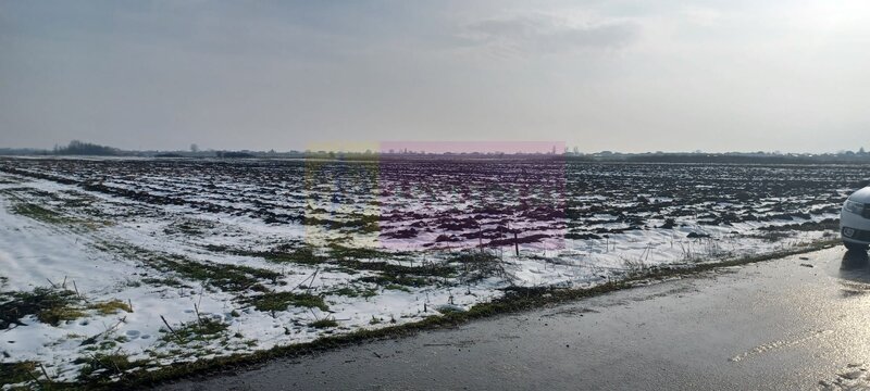 Cosoba, teren 7600 mp intravilan pe str Guliei